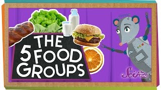 The 5 Fabulous Food Groups [upl. by Noryak73]