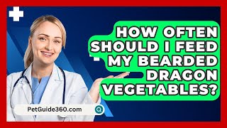 How Often Should I Feed My Bearded Dragon Vegetables  PetGuide360com [upl. by Latyrc175]