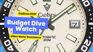 Cadisen 8207M A Quick Overview of this Budget Diver [upl. by Edmonds]