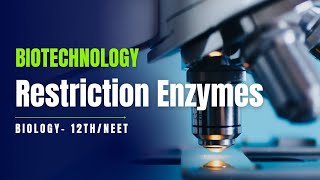 Restriction Endonuclease BiotechnologyClass12 Biology Symmetry Education [upl. by Rimas]