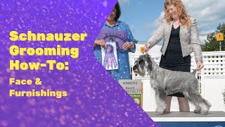 Trimming the Standard Schnauzer Chest First Step [upl. by Anam]