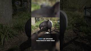 Brazilian Tapir  South Americas Tranquil Giants animals nature brazil shorts [upl. by Atsok]