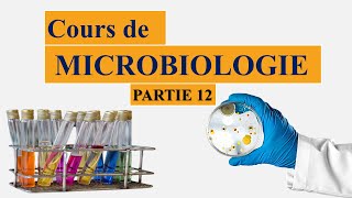 Cours de microbiologie partie 12 les plasmides  conjugaison bactérienne  spores [upl. by Aid]