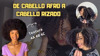 Cómo definir el cabello AFRO tipo 4  Amarás está técnica  twist afrohair cabelloafro peloafro [upl. by Vassar]