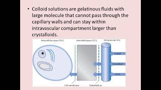 IV Fluids Crystalloids and Colloidstypes of fluidsintravenous solutions crystalloidsandcolloid [upl. by Marwin206]