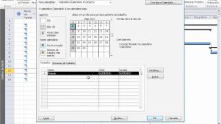 Project 2010  Calendario  Atribuindo Feriados [upl. by Ordnazil]