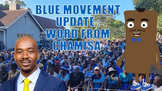 Blue Movement Update  Word from Chamisa [upl. by Adnihc87]