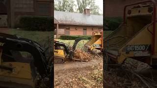 Easy way to clean debris off the black tap treeservice vermeer sthilms500i springcleanout [upl. by Mcroberts]