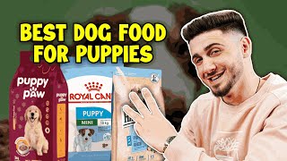 Top 3 Best Puppy Food In 2024 [upl. by Perzan]