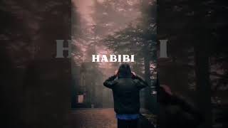 Habibi  Song by Dardan Ricky Rich and Zuna [upl. by Naraa]