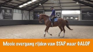 MOOIE OVERGANG RIJDEN van STAP naar GALOP  PaardenpraatTV [upl. by Gasser600]