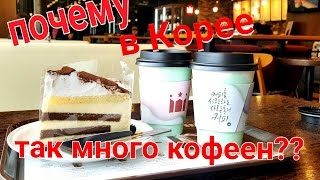 Почему в Южной Корее так много кофеен и как себя вести [upl. by Anitnatsnoc]