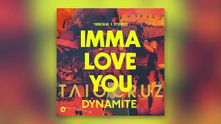 Taio Cruz vs Tungevaag amp Steerner  Dynamite Extended Jablonski Imma Love You Edit [upl. by Acnalb]