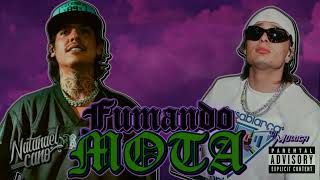 Fumando Mota  Natanael Cano Ft Peso Pluma [upl. by Tedmann637]