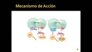 Inhibidores de la Tirosin Cinasa [upl. by Aja]