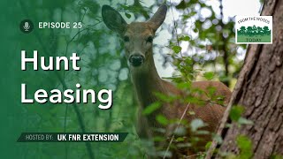 Hunt Leasing  From the Woods Today  Episode 25 [upl. by Lakin]