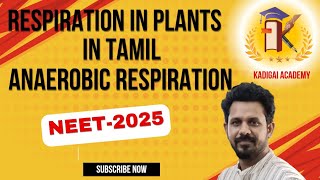 Anaerobic respiration  fermentation  Respiration in plants in tamil  neet2025 [upl. by Brendon]