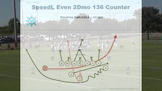 Double Wing Double Reverse amp DW Counter plays from Coach Parkers Double Wing Formation Youth Plays [upl. by Eimmelc]