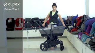 Cybex Priam 2 in 1  Stroller FULL review [upl. by Luckett]