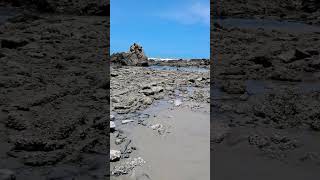 Vila de JERICOACOARA a Pedra furada [upl. by Eikcim198]