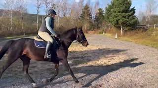 Dressage Finale  Camelia amp Brookdale Gia [upl. by Nahallac]