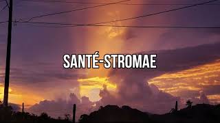 Stromae  Santé Lyrics French  Spanish Letra Francés  Español [upl. by Nnylkcaj146]