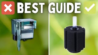 How to Choose the BEST Filter for Your Aquarium Beginner Guide [upl. by Medardas]