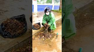 Debris Gone Clearing Culverts for Smooth Drainage [upl. by Ludlew]