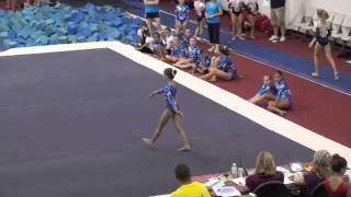 2009 Level 5 Gymnastics Routines [upl. by Lap]