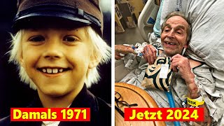 👦 Michel aus Lönneberga 1971 👵 Alle Schauspieler Damals amp Heute 2024 [upl. by Anoiuq476]