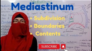 Mediastinum anatomy  subdivision  boundaries  contents  thorax anatomy ayesha medical education [upl. by Ttemme]