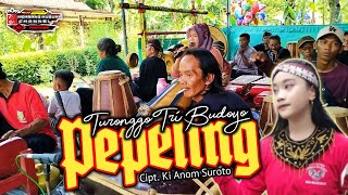 Pepeling  Ebeg Turonggo Tri Budoyo [upl. by Nahk]