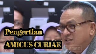 Pengertian dan Sejarah Amicus Curiae [upl. by Linnea]