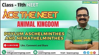 Phylum Aschelminthes and Nemathelminthes  Animal Kingdom  NEET  Biology  neet goc biology [upl. by Yessac]