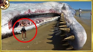 50 Terrifying Things Washed Up on Beaches [upl. by Johann]