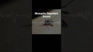 Mosquito Repellent Sound 17KHzRepelling dengue fever Zika fever and chikungunya fever [upl. by Ettelohcin]