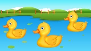 10 Little Ducks Song  10 Little Numbers Song [upl. by Oshinski]