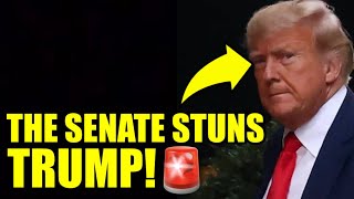 The Senate Just Dropped An UNEXPECTED Bombshell ON TRUMP [upl. by Lecirg110]