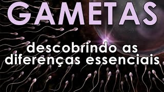 GAMETAS  Descobrindo as diferenças essenciais [upl. by Aowda273]