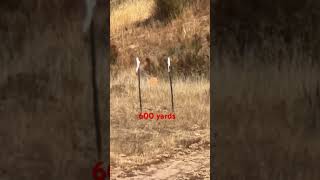 7mm PRC vs 7mm REM MAG at 600 yards [upl. by Eivlys]