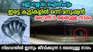 രണ്ടു മക്കളിൽ ഒന്ന് 5 തലയുള്ള നാഗം ഒന്ന് മനുഷ്യൻ  മണ്ണാറശാല ഐതീഹ്യം  നിലവറയും നാഗവും Mannarasala [upl. by Nais998]