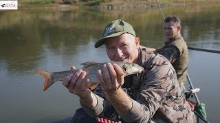 Tyczką w Odrę cz 3 W królestwie brzany [upl. by Tnias]