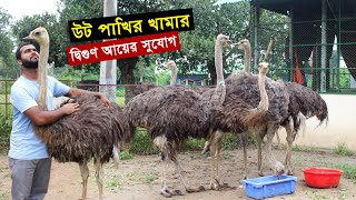 উটপাখি পালন  সাভার BLRI তে গড়ে উঠেছে লাভজনক উট পাখির খামার বছরে দ্বিগুণ আয়ের সুযোগ  Ostrich farm [upl. by Cullan989]