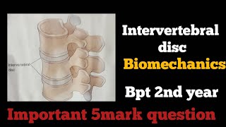 Intervertebral disc Tamil  biomechanics of spine function intervertebral disc biomechanics inதமிழ் [upl. by Acenahs902]