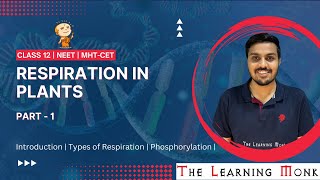 Respiration in Plants  Part  1  NEET  Biology  MHTCET [upl. by Ayortal]