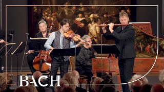 Bach  Brandenburg Concerto no 5 in D major BWV 1050  Sato  Netherlands Bach Society [upl. by Sitelc763]