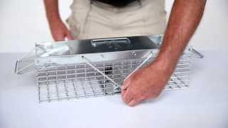 How to Set Havahart® XSmall 2Door Trap Model 1025 for Weasels Rats amp Squirrels [upl. by Destinee]