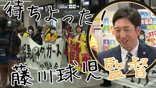 「藤川球児監督 就任後初の高知入り 11月1日から安芸市で阪神の秋季キャンプ」20241031放送 [upl. by Aaron]