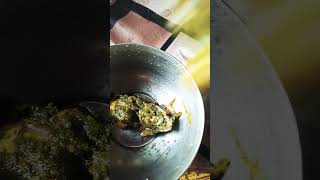 Palak paneer ytshorts food vegitariandish cooking recip palakpaneer [upl. by Lairbag800]