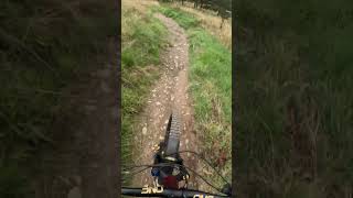 Smells Like Tweed Spirit Glentress MTB Trail Part 4 [upl. by Faires898]